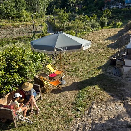 Quinta Da Peca Douro Vinhateiro ヴィラ・レアル エクステリア 写真