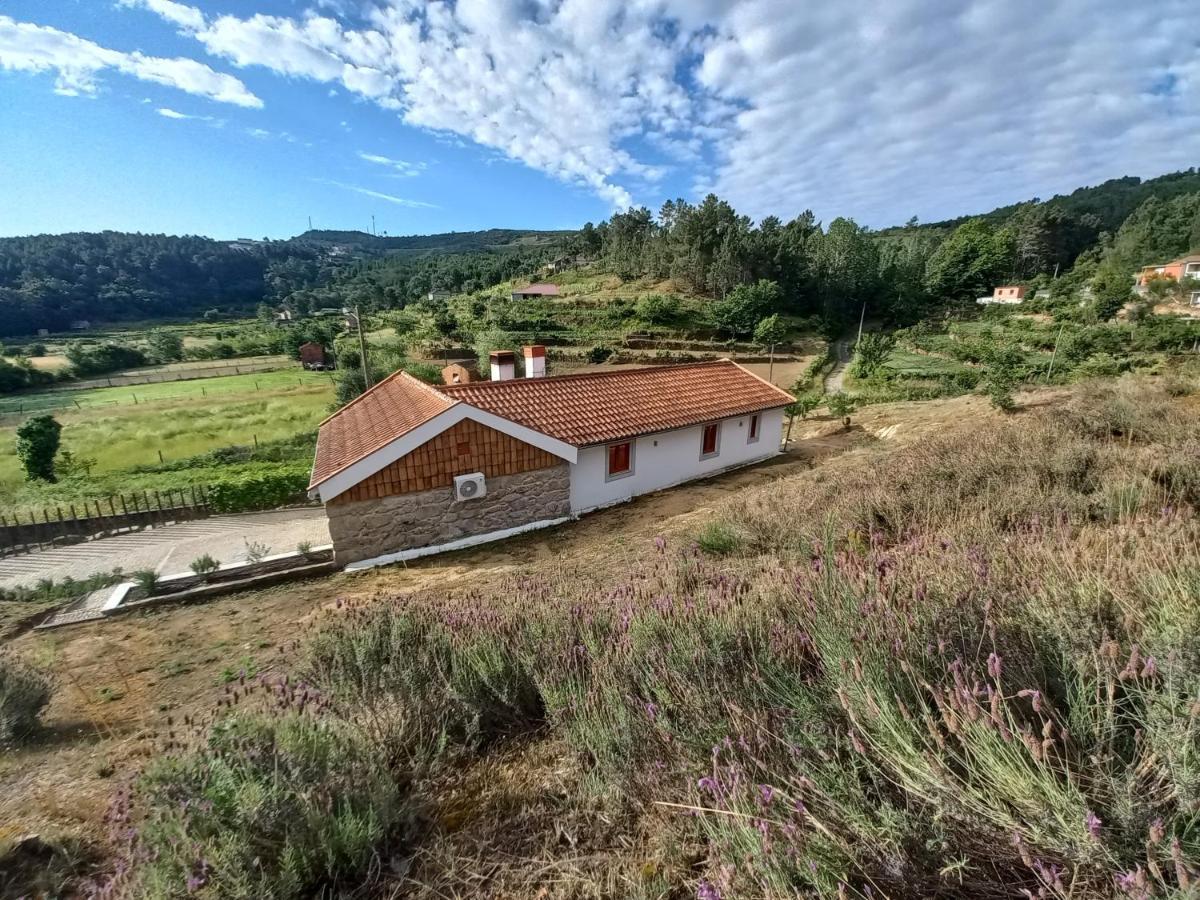 Quinta Da Peca Douro Vinhateiro ヴィラ・レアル エクステリア 写真