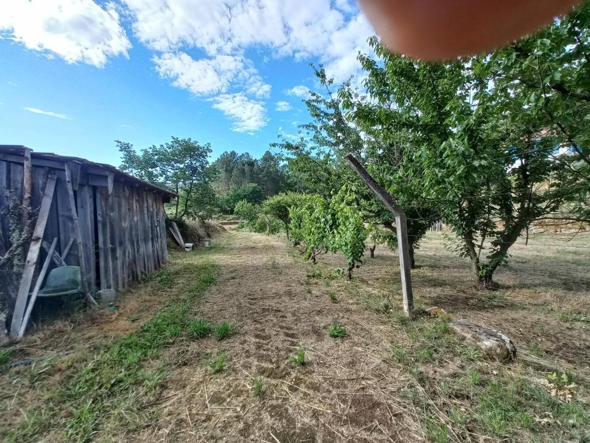 Quinta Da Peca Douro Vinhateiro ヴィラ・レアル エクステリア 写真