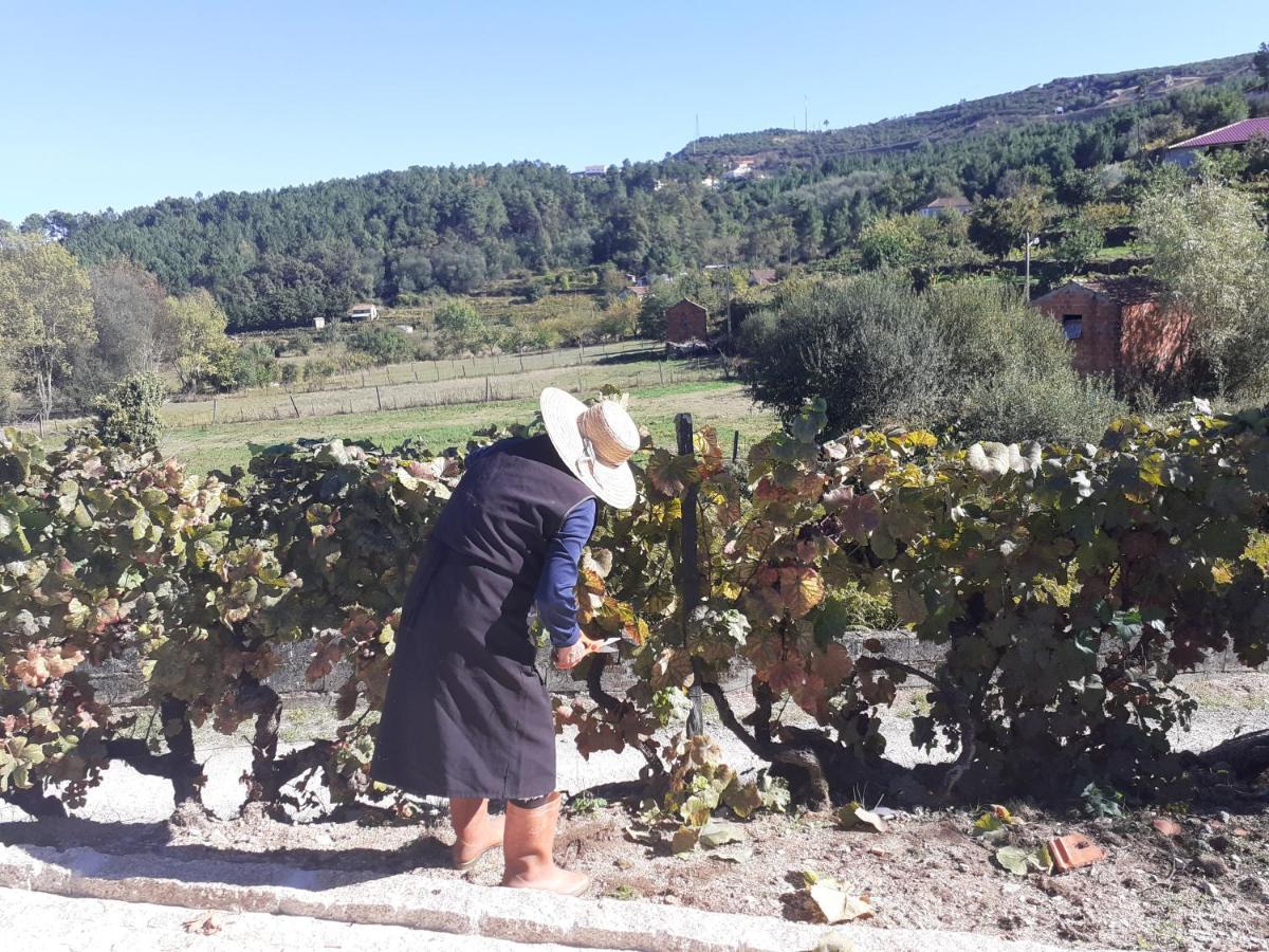 Quinta Da Peca Douro Vinhateiro ヴィラ・レアル エクステリア 写真