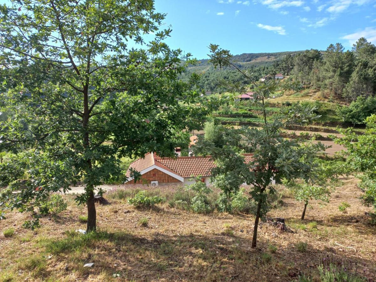 Quinta Da Peca Douro Vinhateiro ヴィラ・レアル エクステリア 写真