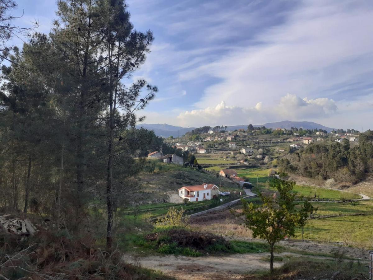Quinta Da Peca Douro Vinhateiro ヴィラ・レアル エクステリア 写真
