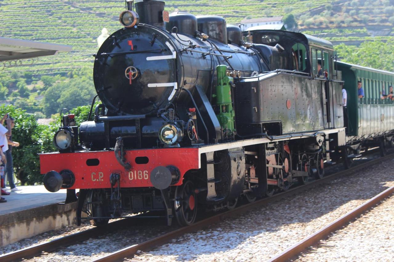 Quinta Da Peca Douro Vinhateiro ヴィラ・レアル エクステリア 写真