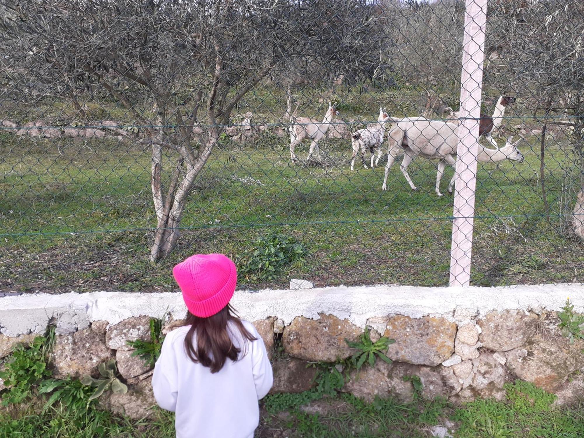 Quinta Da Peca Douro Vinhateiro ヴィラ・レアル エクステリア 写真
