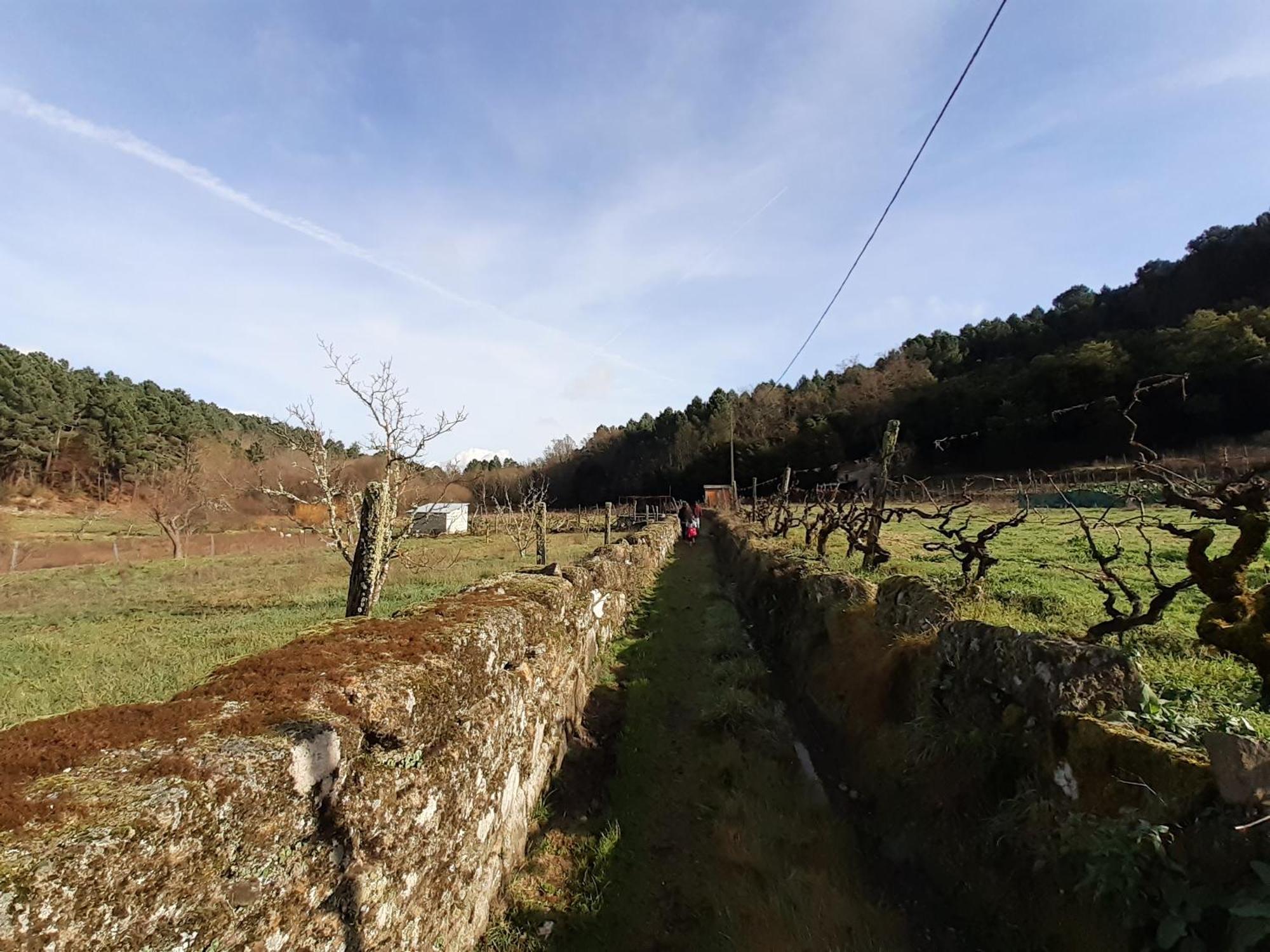 Quinta Da Peca Douro Vinhateiro ヴィラ・レアル エクステリア 写真