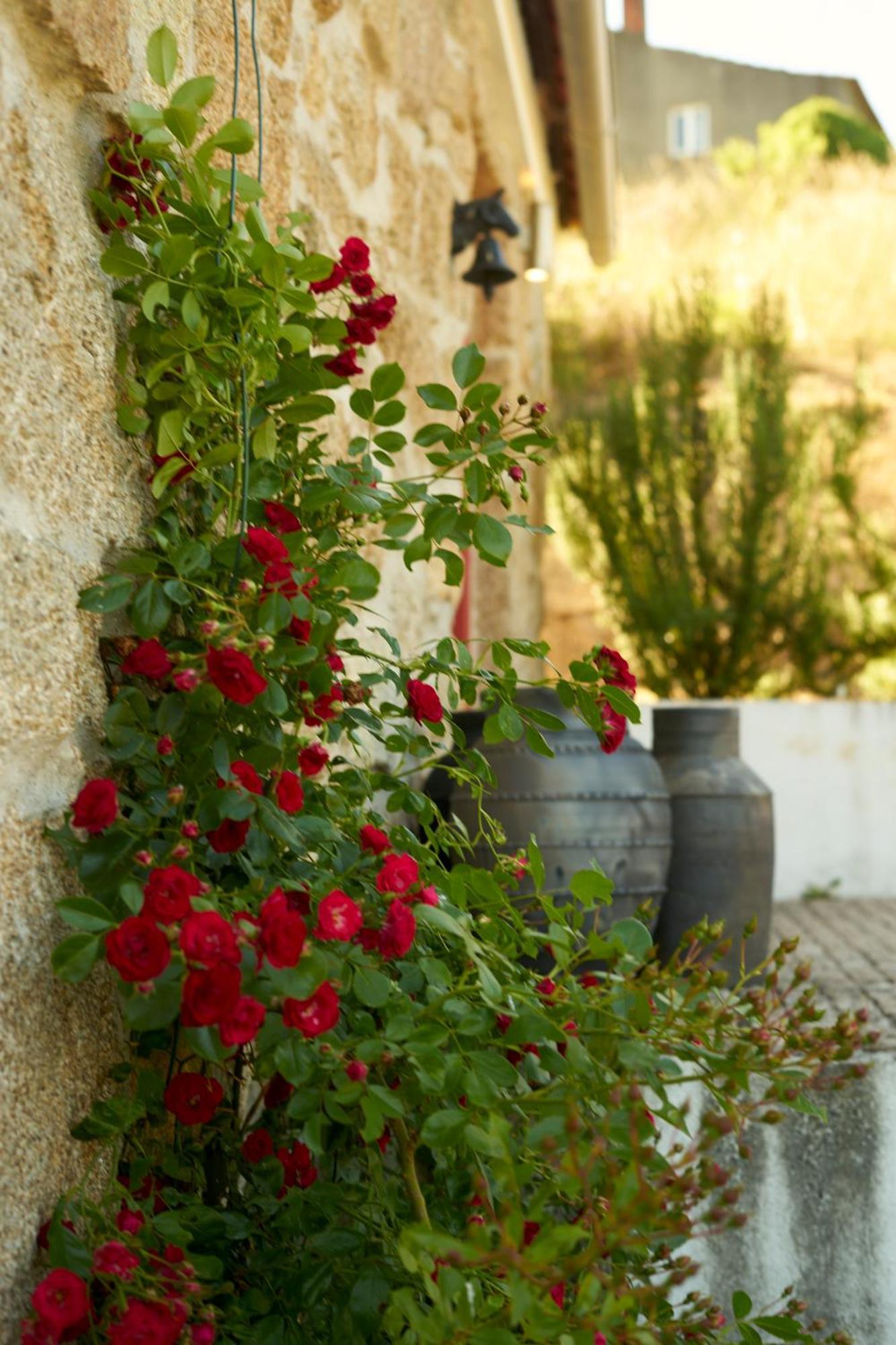 Quinta Da Peca Douro Vinhateiro ヴィラ・レアル エクステリア 写真