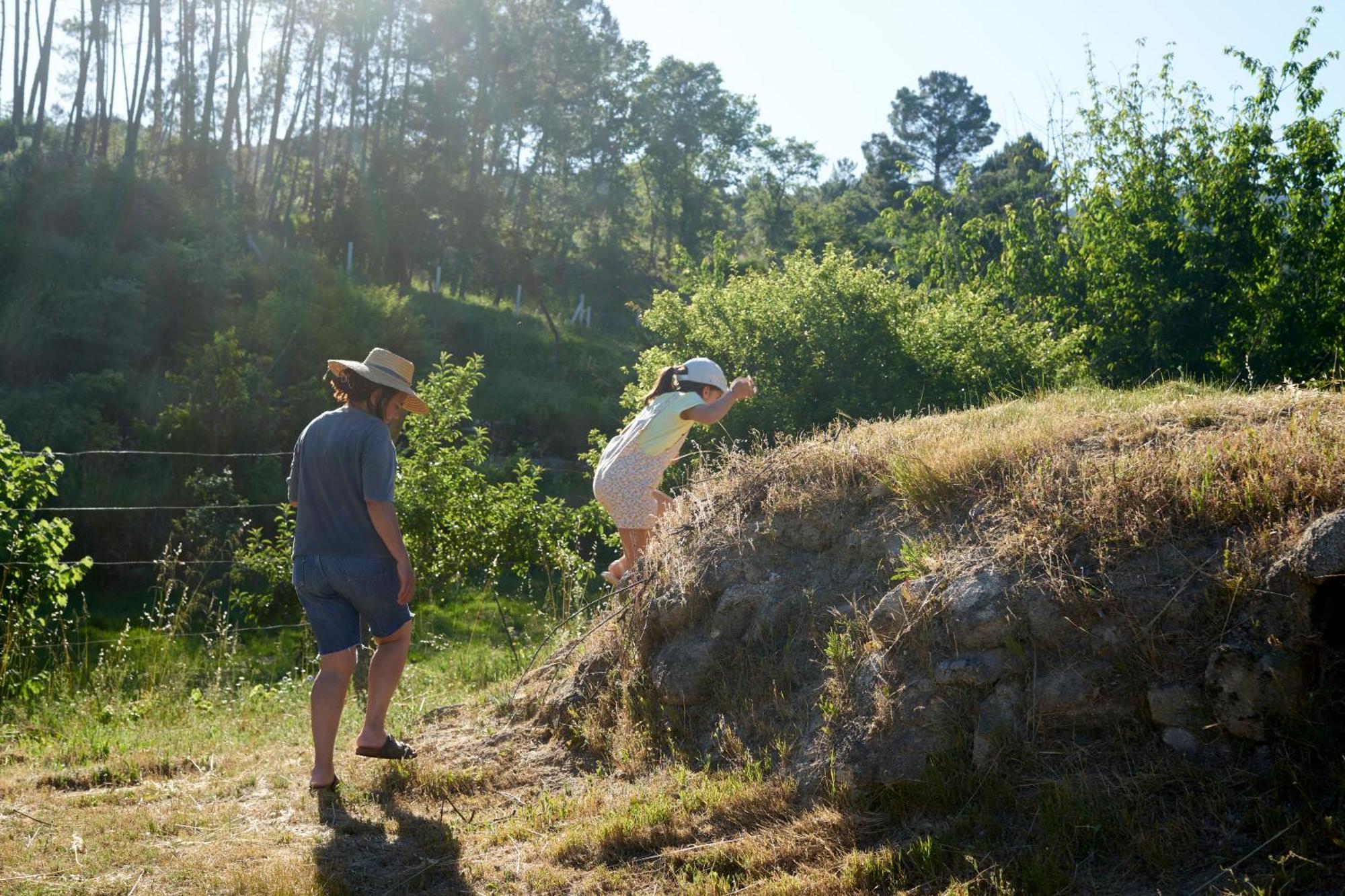 Quinta Da Peca Douro Vinhateiro ヴィラ・レアル エクステリア 写真
